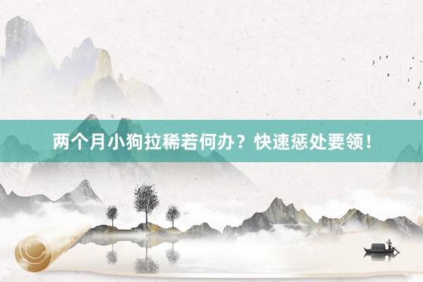 两个月小狗拉稀若何办？快速惩处要领！