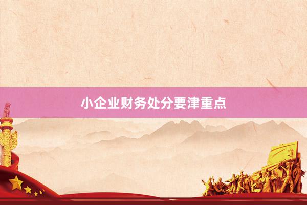 小企业财务处分要津重点